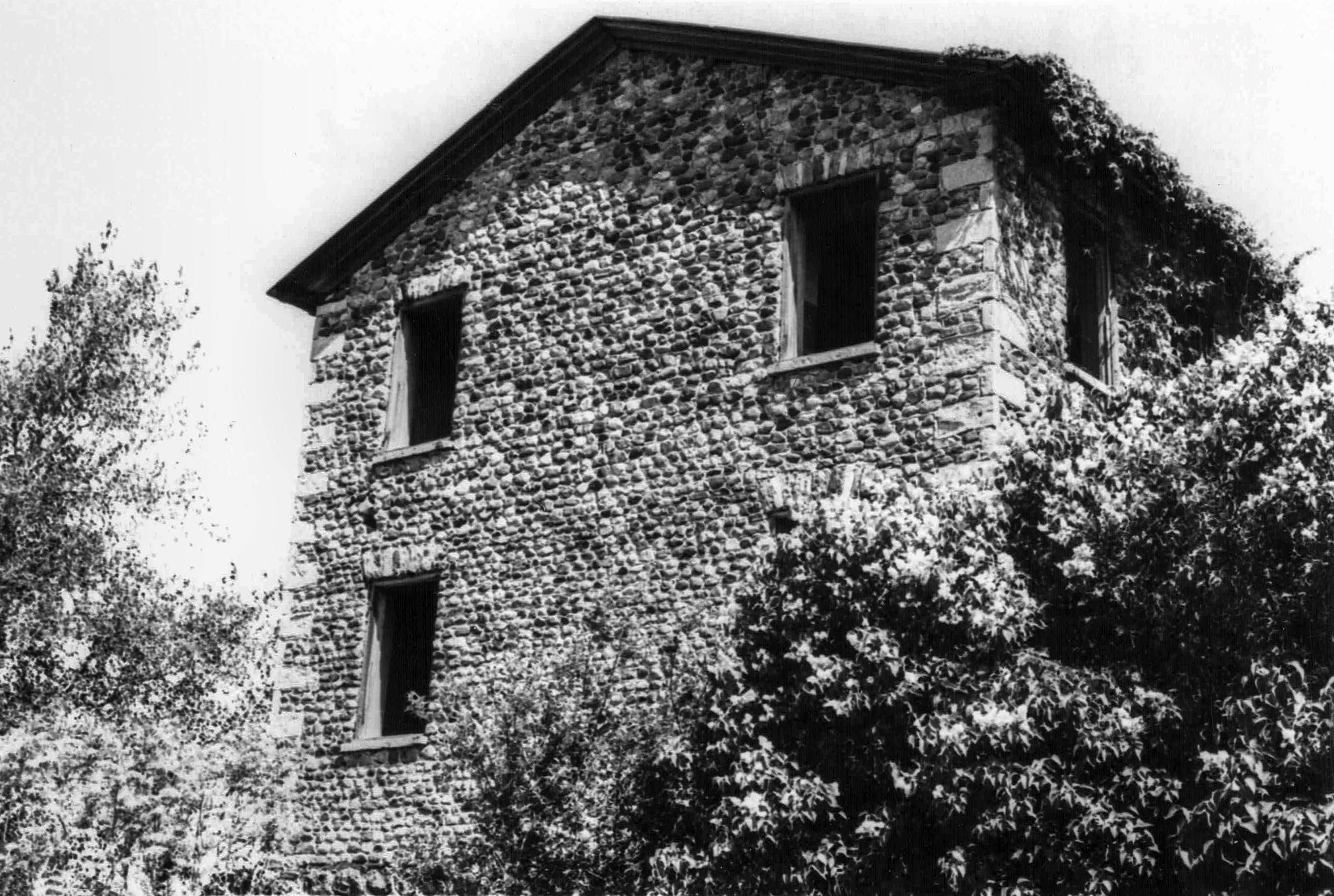 Hen-12 Longfellow-Vollmer 2